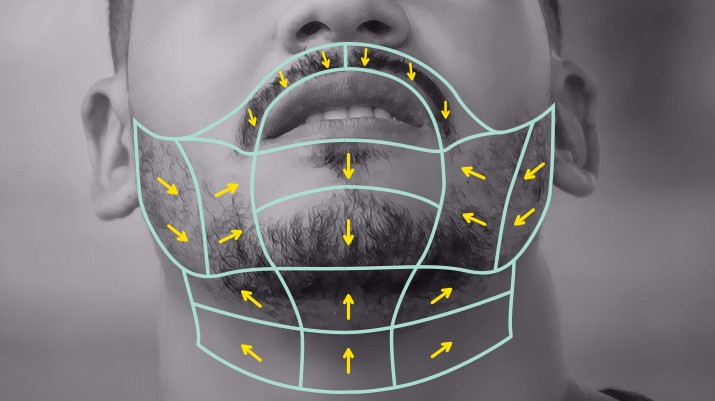 Mapping Facial Hair Growth for Shaving